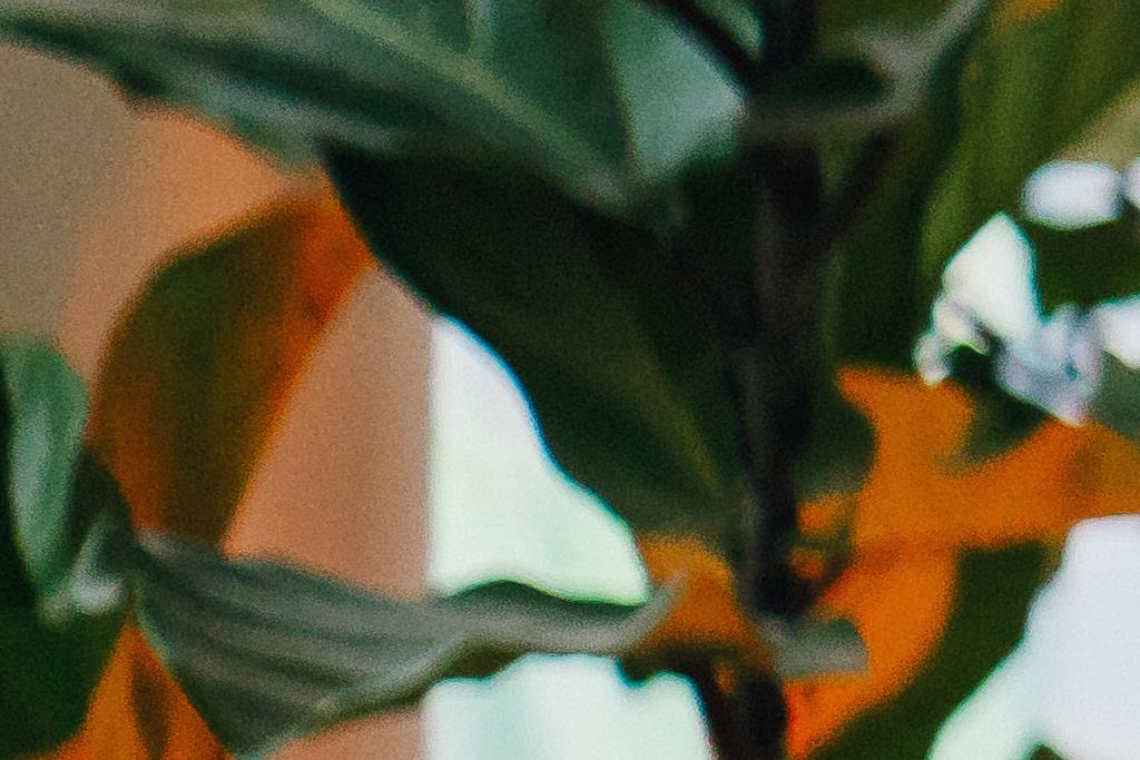 koroissa oli 6000 uudelleen