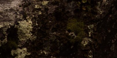 Turvallinen Pikavippi